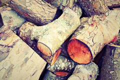 The Forstal wood burning boiler costs